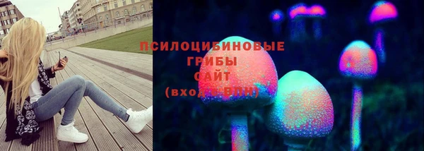 гашик Аркадак