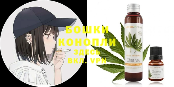 гашик Аркадак