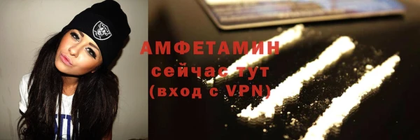 гашик Аркадак