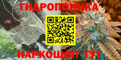 таблы Донецк