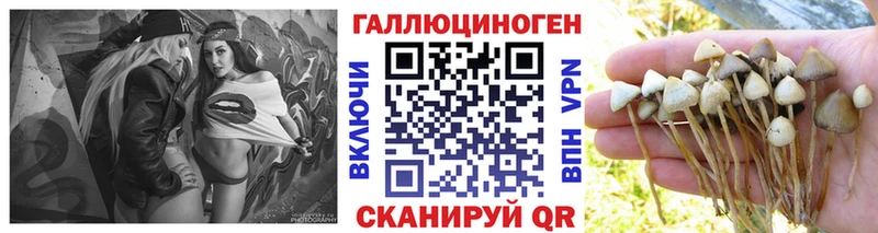 Галлюциногенные грибы мухоморы Курган