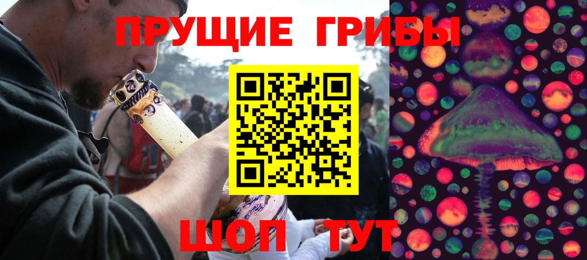 Псилоцибиновые грибы MAGIC MUSHROOMS  Вход с VPN  Курган 