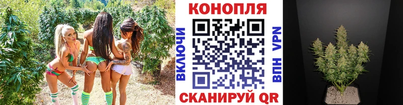 МАРИХУАНА SATIVA & INDICA  мега сайт  Курган 