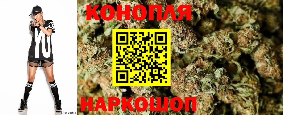 Бошки Шишки конопля Курган